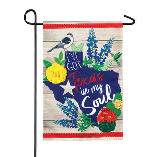 Texas in my Soul G Flag
