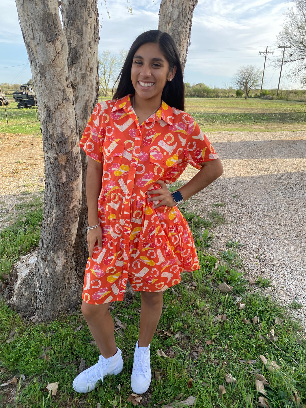 Boot Scootin Dress