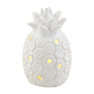 Pineapple Sitter