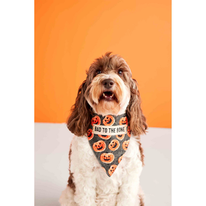 Feast Mode Dog Bandana Reversible