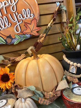 Pumpkins Fall Harvest