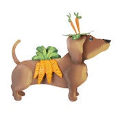 Dress Up Carrot Costume