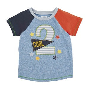 Two Birthday Tee Boy