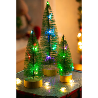led-xma