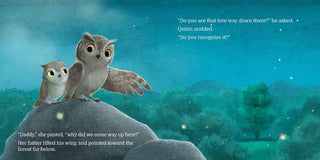 QUINN'S PROMISE ROCK