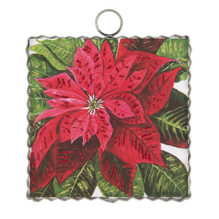 mini-brilliant-poinsettia