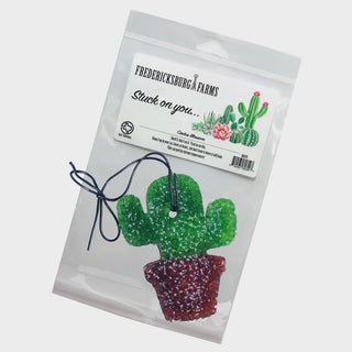 Cactus-Blossom_740x