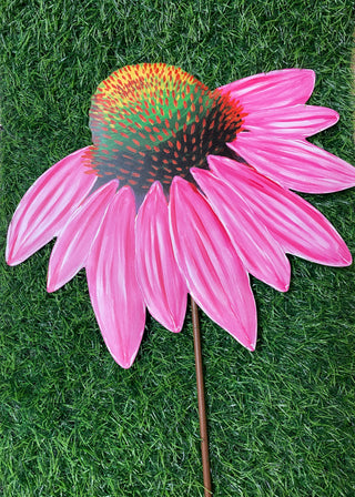 Fanciful Pink Cornflower