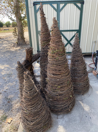 grapevine-tree-4