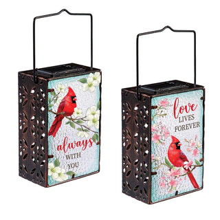 Two solar lanterns with red cardinals and floral designs on a white background