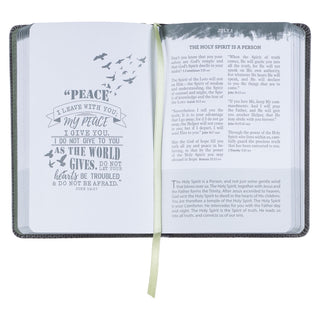 pocket-bible-devotional-for-guys-faux-leather