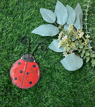 Lady Bug Magnet