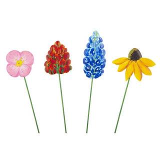 texas-wildflowers