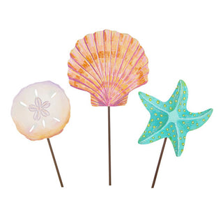 Sea Shell