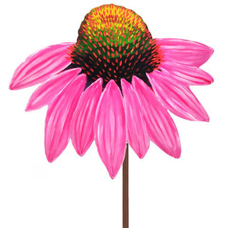 Fanciful Pink Cornflower