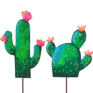 dark-green-cactus-md-s2