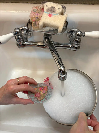 Pop Up Sponges Chicken