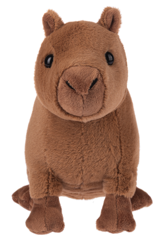 Webkinz Capybara plush toy