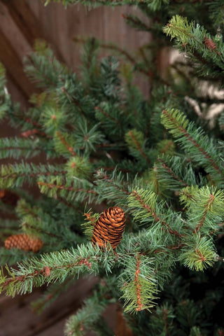 blue-spruce-prelit-9ft