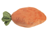 Carrot Learn & Grow