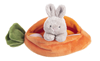 Carrot Learn & Grow