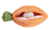Carrot Learn & Grow