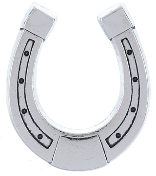 horseshoe-charm