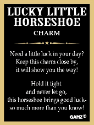 horseshoe-charm