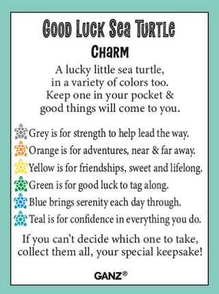 sea-turtle-charm