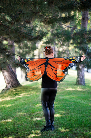 Butterfly Kids Costume