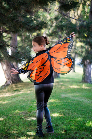 Kids Butterfly Costume Wings