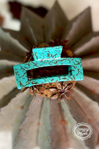 wild-cherokee-hair-clip