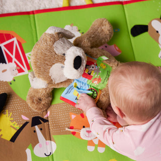Sensory Playmat - Barnyard Friends