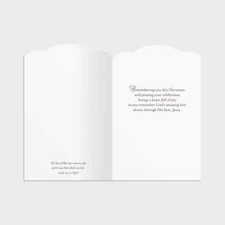 gods-love-navitity-18-boxed-cards