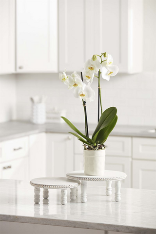 white-pedestal-sm