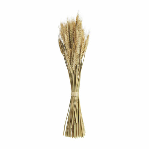 Tall Wheat Bundle