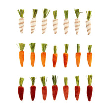 Load image into Gallery viewer, Mini Velvet Carrots Set