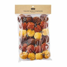 Load image into Gallery viewer, Mini Pumpkin Velvet Set