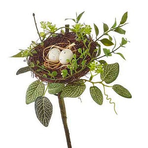 Bird Nest Pick w eggs